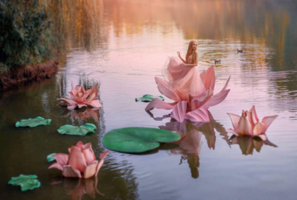 What is a Fairy Flower?
