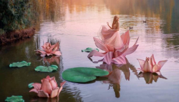 What is a Fairy Flower?