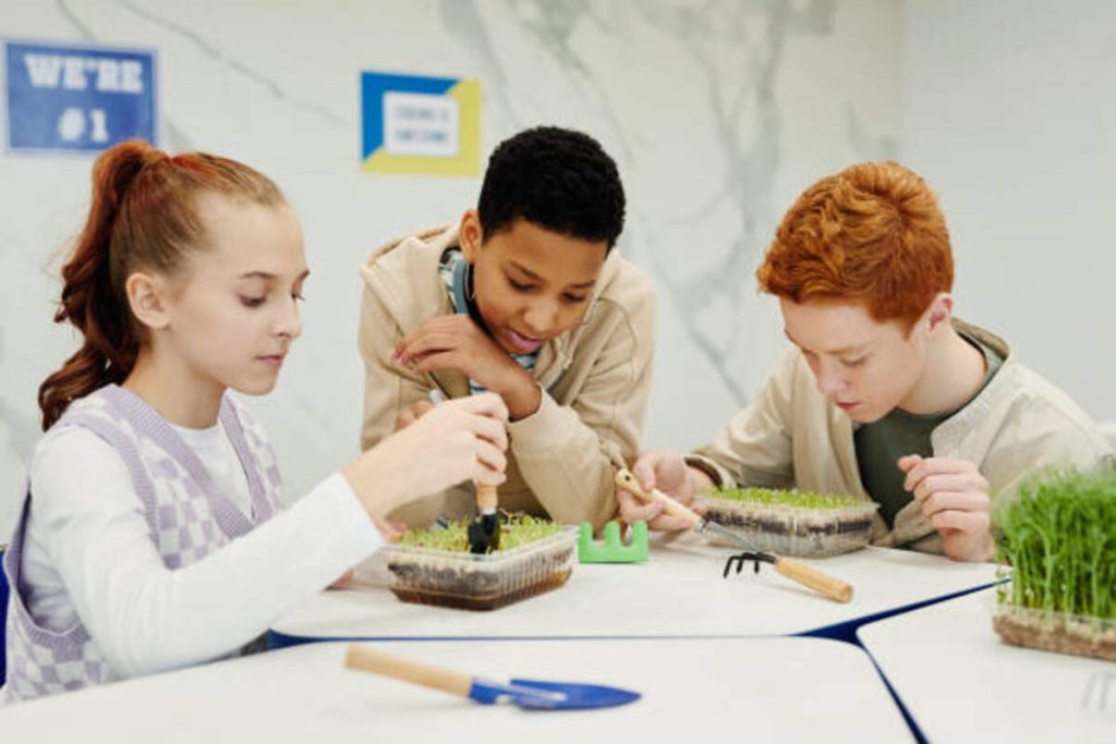 Little Sprouts Learning Center