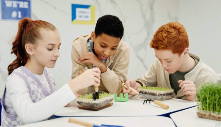 Little Sprouts Learning Center