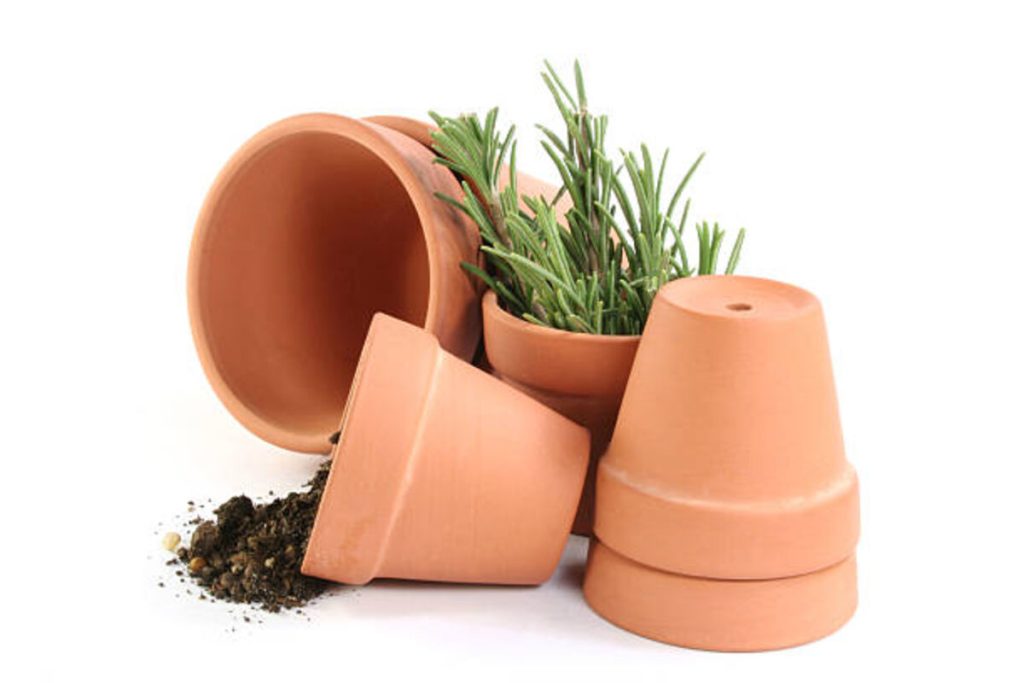 Benefits of Terracotta Plant Pots