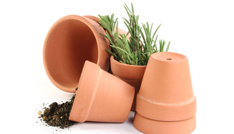 Benefits of Terracotta Plant Pots