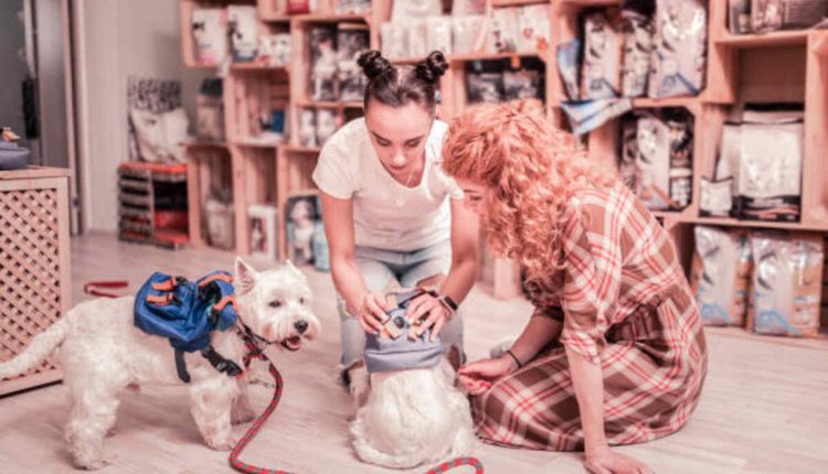 The Height of Peter Doocy