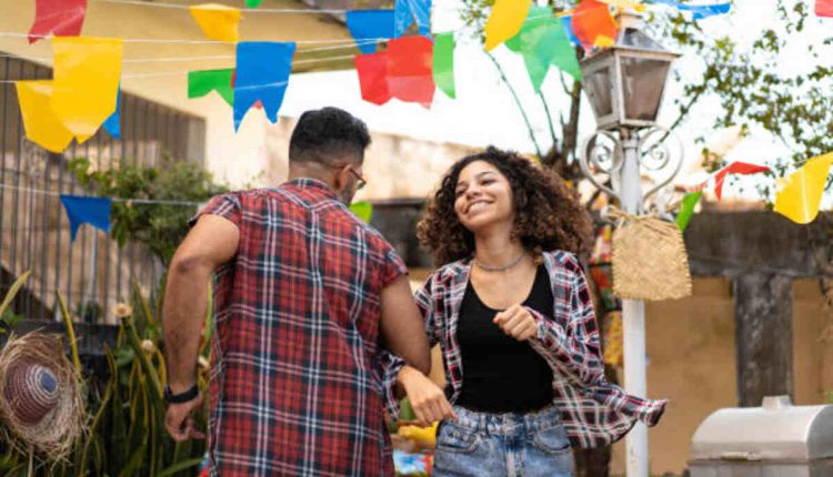 Funny Flags For House