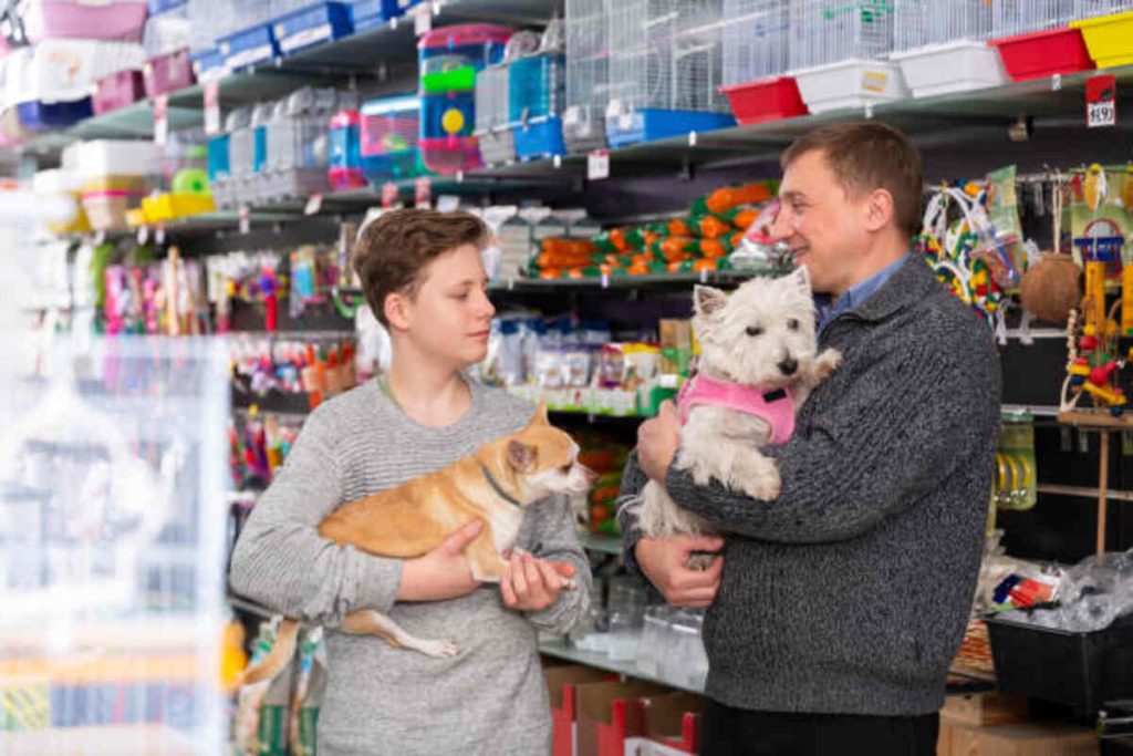 Find Pets For Sale and Adoption on Craigslist