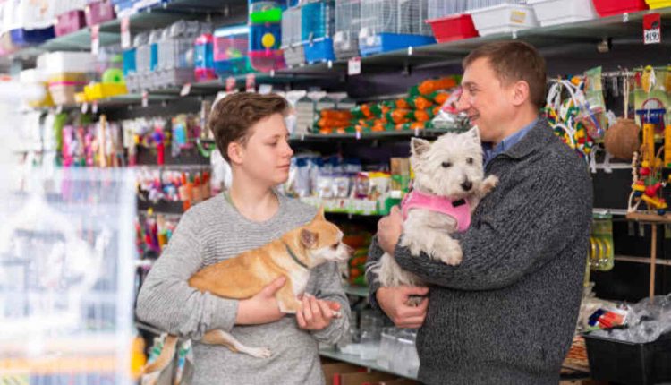 Find Pets For Sale and Adoption on Craigslist