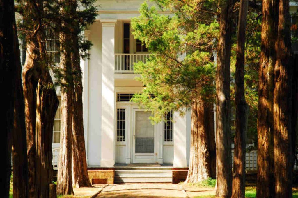 Emily House by William Faulkner