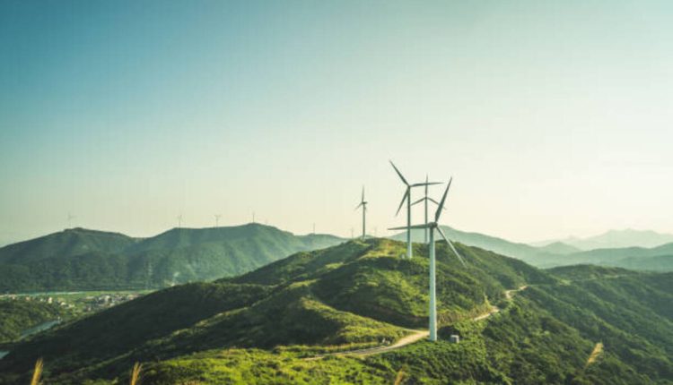 small straws in a soft wind
