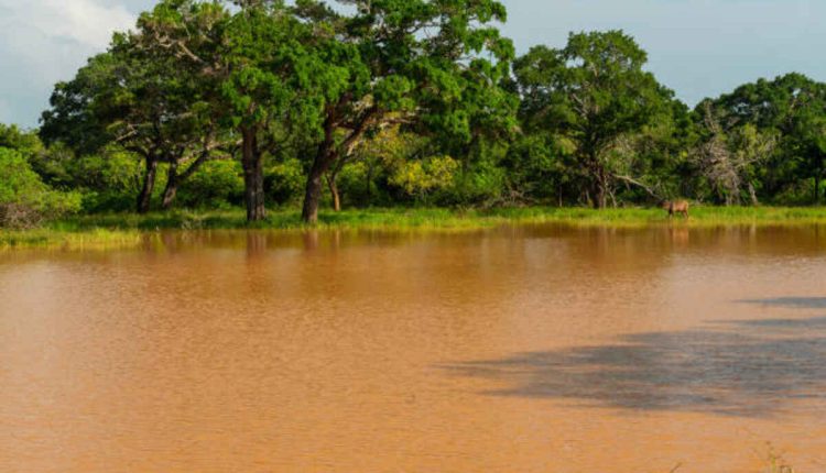 Atchafalaya River Stage 2