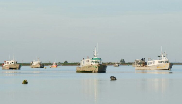 boat charter