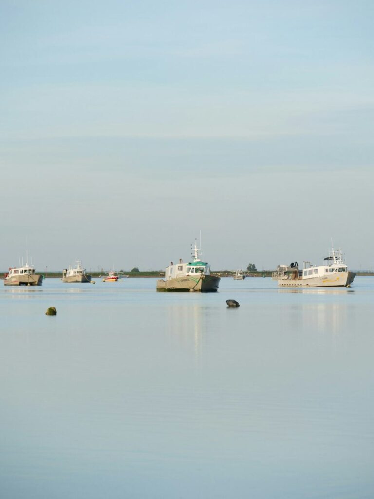 Top Tips for a Successful Boat Rental 1 boat charter